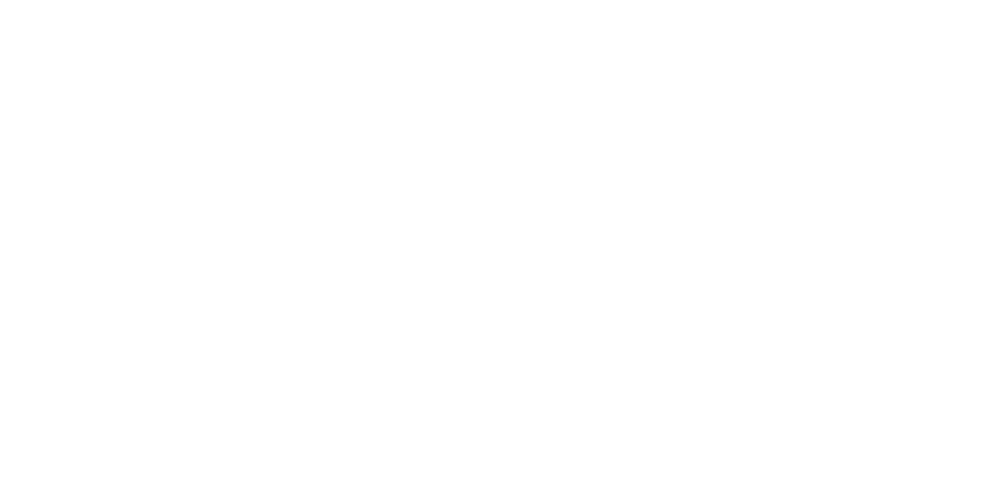 BlackLink Incorportion | Global Investments